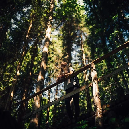 Torghele'S Wald & Fluh-2